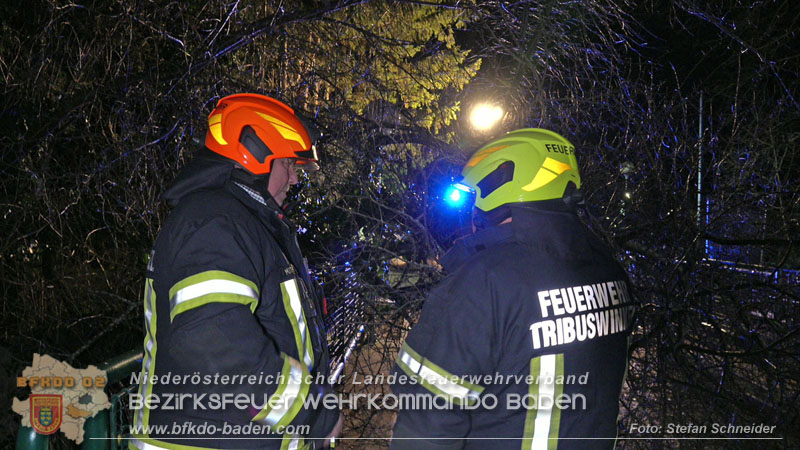20240123 Sturmschaden - Baum stürzt auf Brückengeländer in Tribuswinkel  Foto: Stefan Schneider
