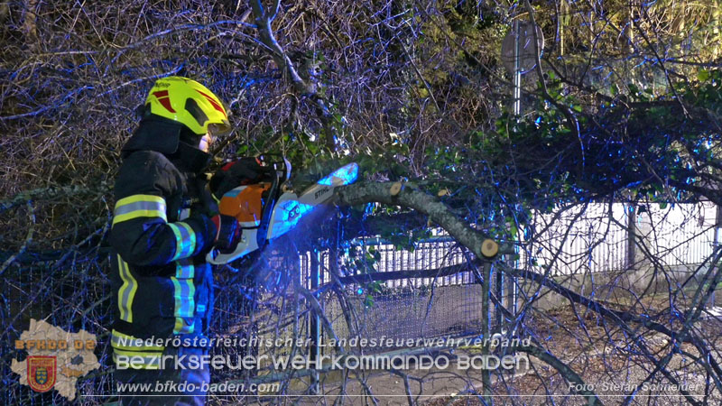 20240123 Sturmschaden - Baum stürzt auf Brückengeländer in Tribuswinkel  Foto: Stefan Schneider