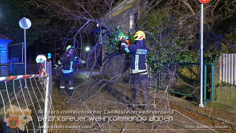 20240123 Sturmschaden - Baum stürzt auf Brückengeländer in Tribuswinkel  Foto: Stefan Schneider