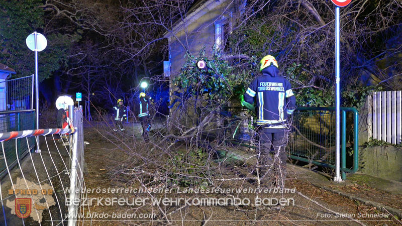 20240123 Sturmschaden - Baum stürzt auf Brückengeländer in Tribuswinkel  Foto: Stefan Schneider