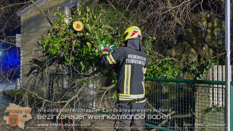 20240123 Sturmschaden - Baum stürzt auf Brückengeländer in Tribuswinkel  Foto: Stefan Schneider