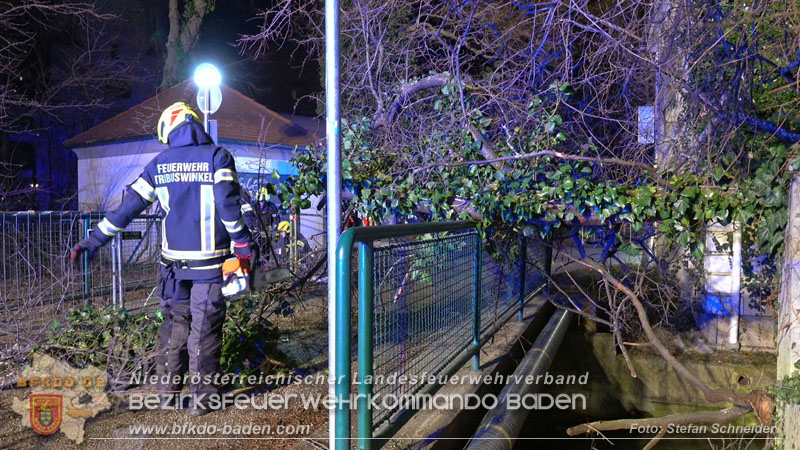 20240123 Sturmschaden - Baum stürzt auf Brückengeländer in Tribuswinkel  Foto: Stefan Schneider