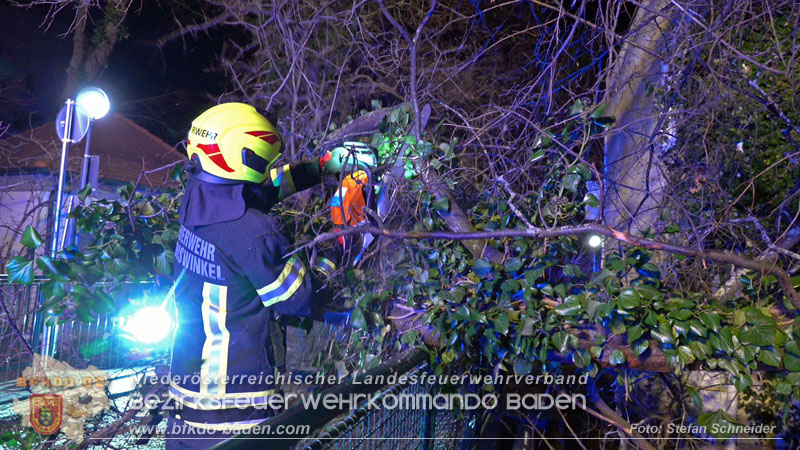 20240123 Sturmschaden - Baum stürzt auf Brückengeländer in Tribuswinkel  Foto: Stefan Schneider
