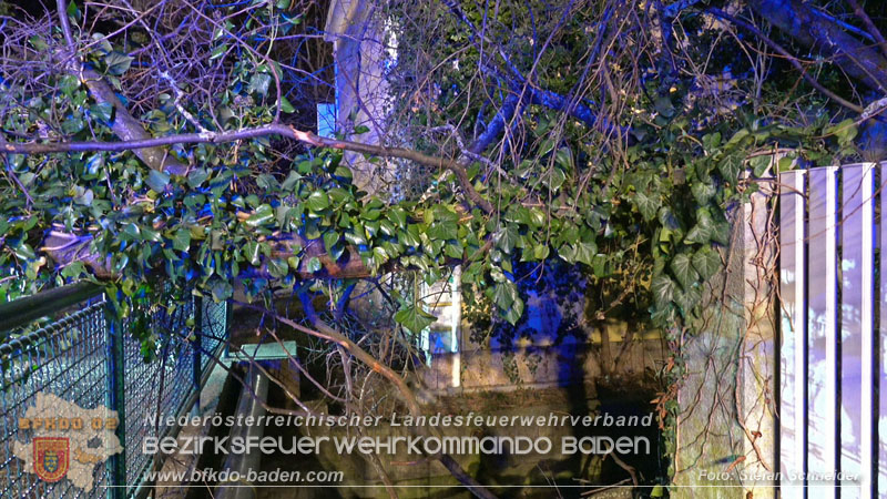 20240123 Sturmschaden - Baum stürzt auf Brückengeländer in Tribuswinkel  Foto: Stefan Schneider