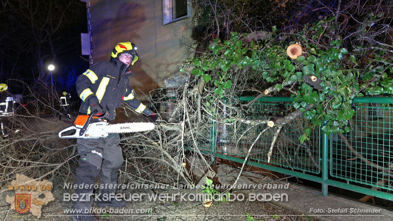 20240123 Sturmschaden - Baum stürzt auf Brückengeländer in Tribuswinkel  Foto: Stefan Schneider