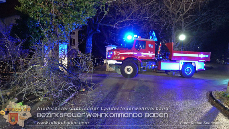 20240123 Sturmschaden - Baum stürzt auf Brückengeländer in Tribuswinkel  Foto: Stefan Schneider