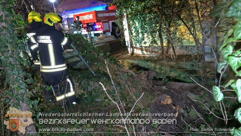 20240123 Sturmschaden - Baum stürzt auf Brückengeländer in Tribuswinkel  Foto: Stefan Schneider
