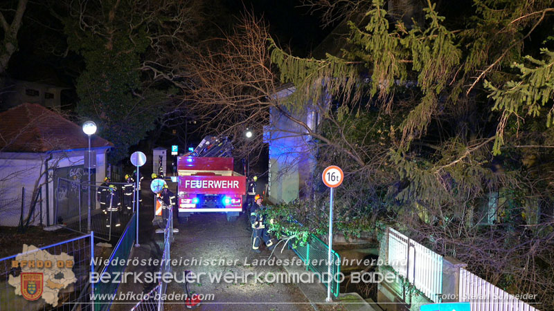 20240123 Sturmschaden - Baum stürzt auf Brückengeländer in Tribuswinkel  Foto: Stefan Schneider