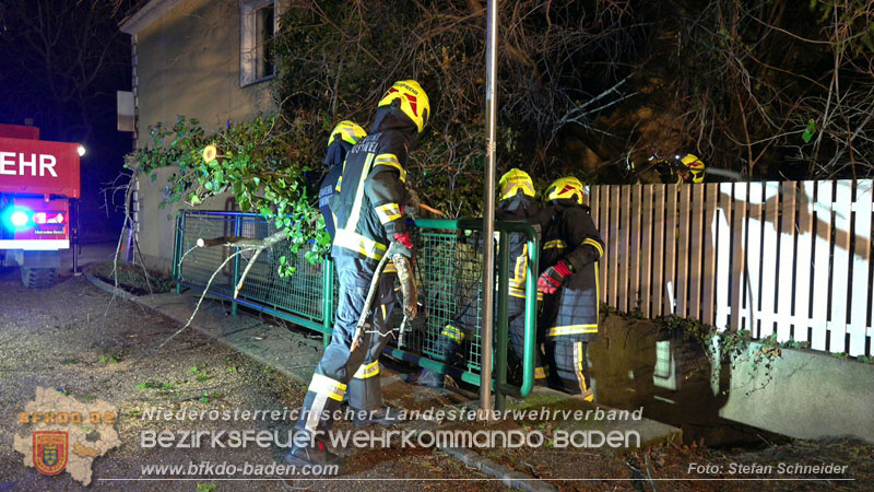 20240123 Sturmschaden - Baum stürzt auf Brückengeländer in Tribuswinkel  Foto: Stefan Schneider