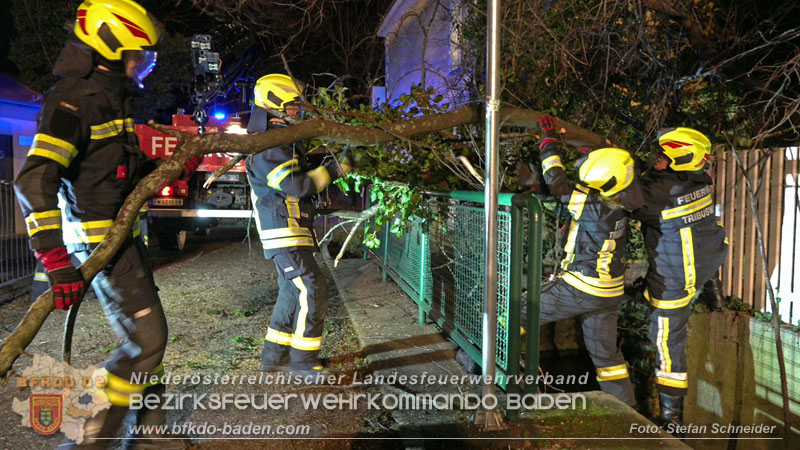 20240123 Sturmschaden - Baum stürzt auf Brückengeländer in Tribuswinkel  Foto: Stefan Schneider