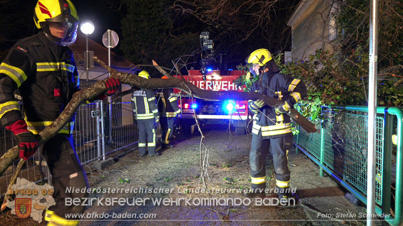 20240123 Sturmschaden - Baum stürzt auf Brückengeländer in Tribuswinkel  Foto: Stefan Schneider