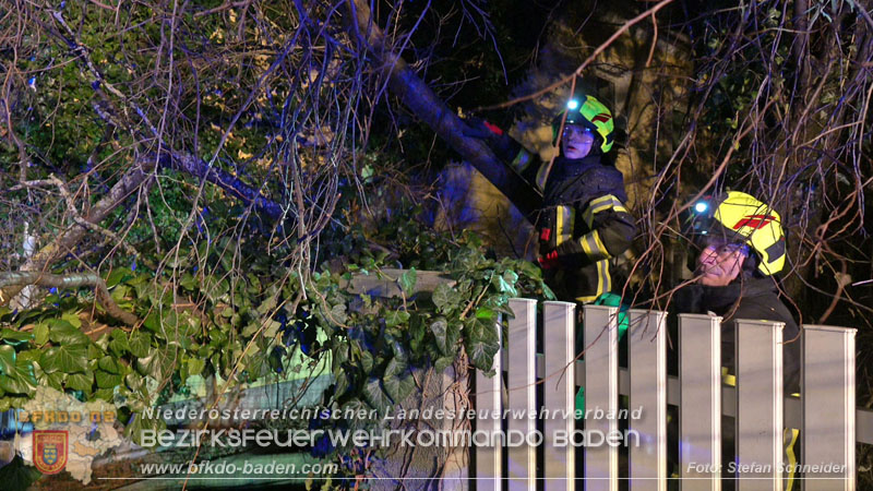 20240123 Sturmschaden - Baum stürzt auf Brückengeländer in Tribuswinkel  Foto: Stefan Schneider