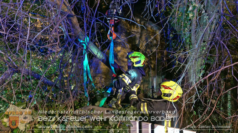 20240123 Sturmschaden - Baum stürzt auf Brückengeländer in Tribuswinkel  Foto: Stefan Schneider