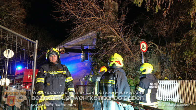 20240123 Sturmschaden - Baum stürzt auf Brückengeländer in Tribuswinkel  Foto: Stefan Schneider