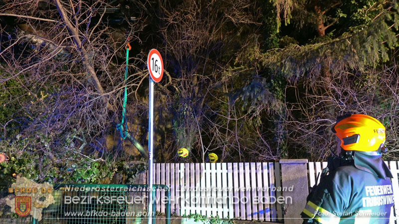 20240123 Sturmschaden - Baum stürzt auf Brückengeländer in Tribuswinkel  Foto: Stefan Schneider
