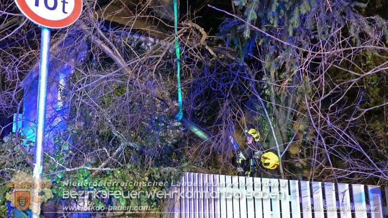 20240123 Sturmschaden - Baum stürzt auf Brückengeländer in Tribuswinkel  Foto: Stefan Schneider