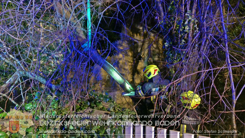 20240123 Sturmschaden - Baum stürzt auf Brückengeländer in Tribuswinkel  Foto: Stefan Schneider