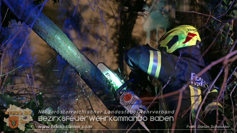 20240123 Sturmschaden - Baum stürzt auf Brückengeländer in Tribuswinkel  Foto: Stefan Schneider