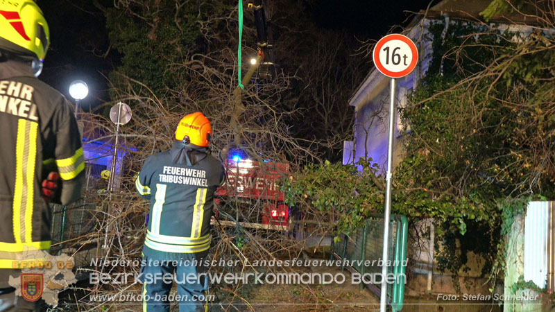 20240123 Sturmschaden - Baum stürzt auf Brückengeländer in Tribuswinkel  Foto: Stefan Schneider