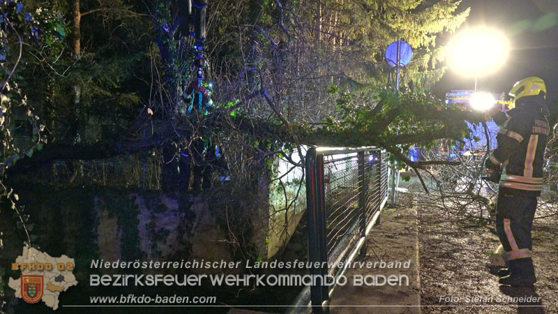 20240123 Sturmschaden - Baum stürzt auf Brückengeländer in Tribuswinkel  Foto: Stefan Schneider
