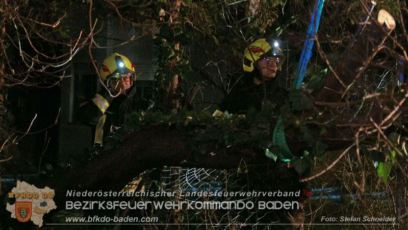 20240123 Sturmschaden - Baum stürzt auf Brückengeländer in Tribuswinkel  Foto: Stefan Schneider