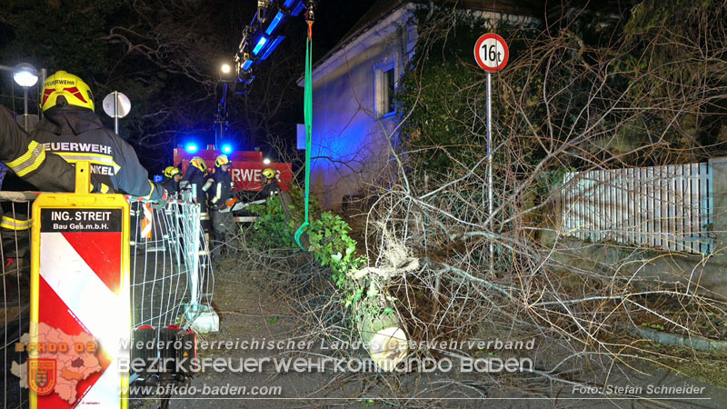 20240123 Sturmschaden - Baum stürzt auf Brückengeländer in Tribuswinkel  Foto: Stefan Schneider
