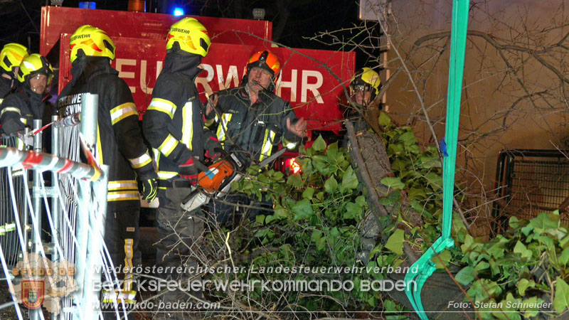 20240123 Sturmschaden - Baum stürzt auf Brückengeländer in Tribuswinkel  Foto: Stefan Schneider