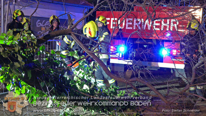 20240123 Sturmschaden - Baum stürzt auf Brückengeländer in Tribuswinkel  Foto: Stefan Schneider