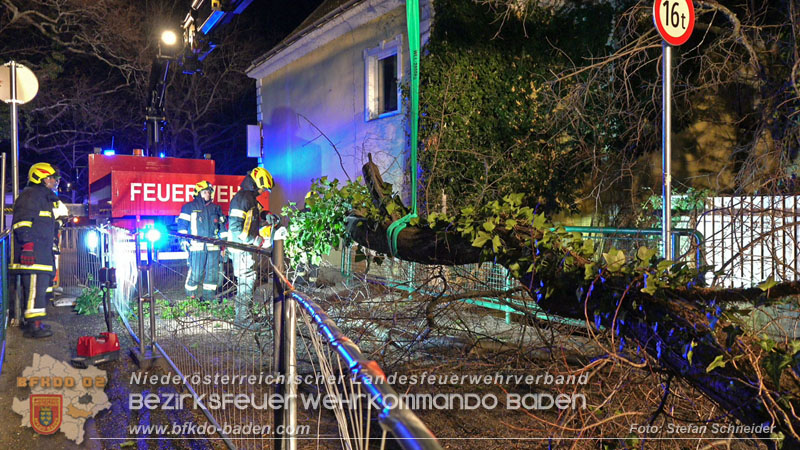20240123 Sturmschaden - Baum stürzt auf Brückengeländer in Tribuswinkel  Foto: Stefan Schneider