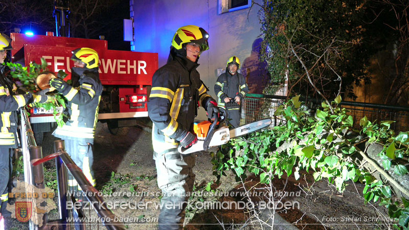 20240123 Sturmschaden - Baum stürzt auf Brückengeländer in Tribuswinkel  Foto: Stefan Schneider