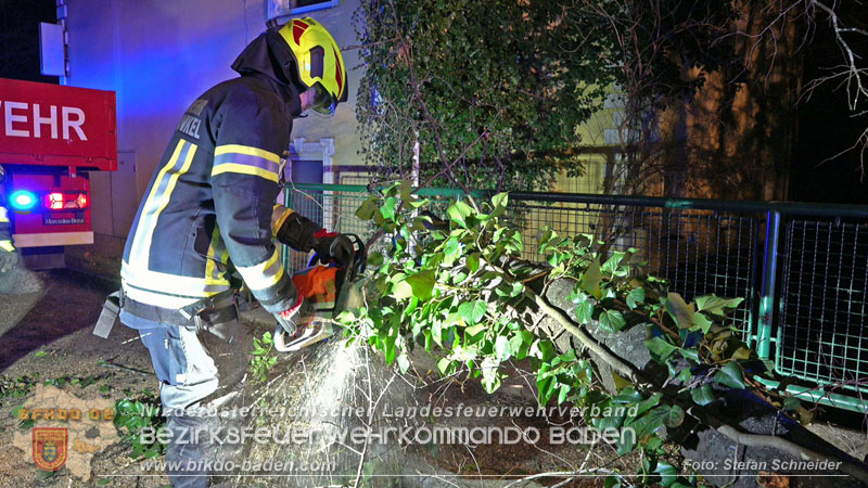 20240123 Sturmschaden - Baum stürzt auf Brückengeländer in Tribuswinkel  Foto: Stefan Schneider