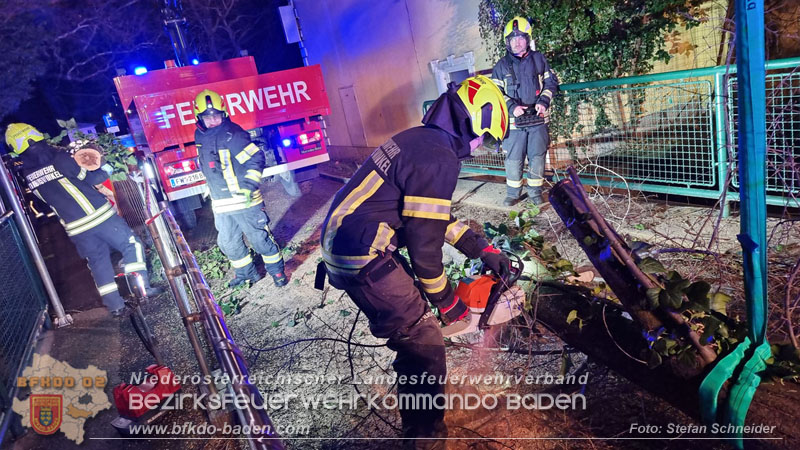 20240123 Sturmschaden - Baum stürzt auf Brückengeländer in Tribuswinkel  Foto: Stefan Schneider
