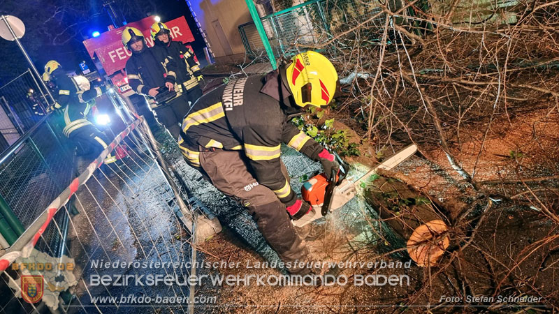 20240123 Sturmschaden - Baum stürzt auf Brückengeländer in Tribuswinkel  Foto: Stefan Schneider