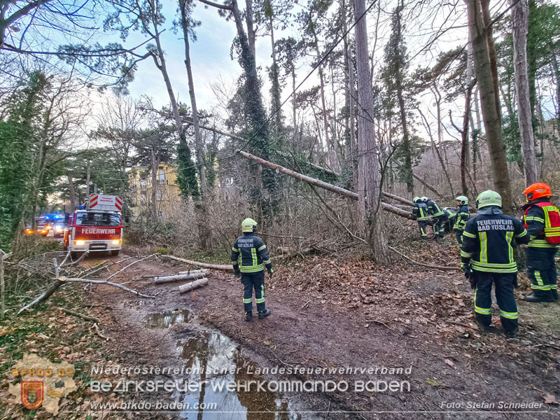20240124 Sturmfront sorgt erneut fuer Feuerwehreinsaetze