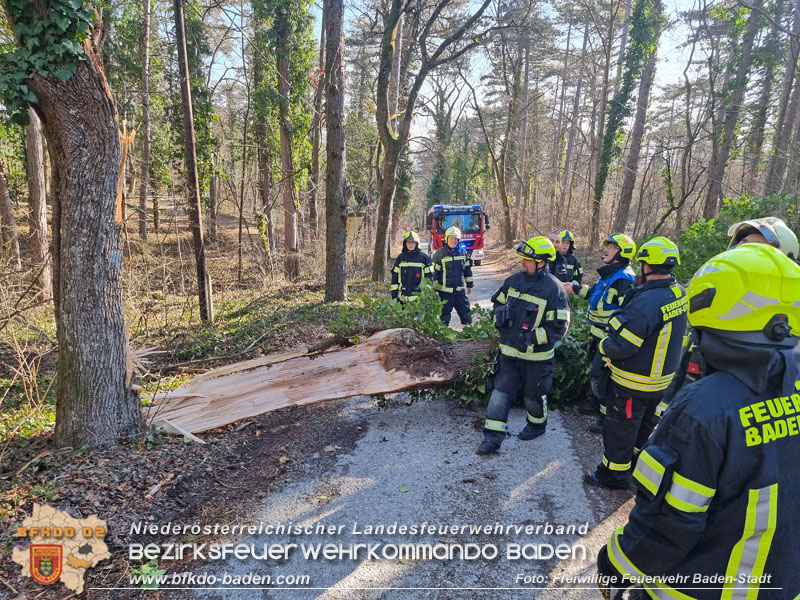 20270127 Sturmfront ueber die Stadt Baden  Foto: Freiwillige Feuerwehr Baden-Stadt