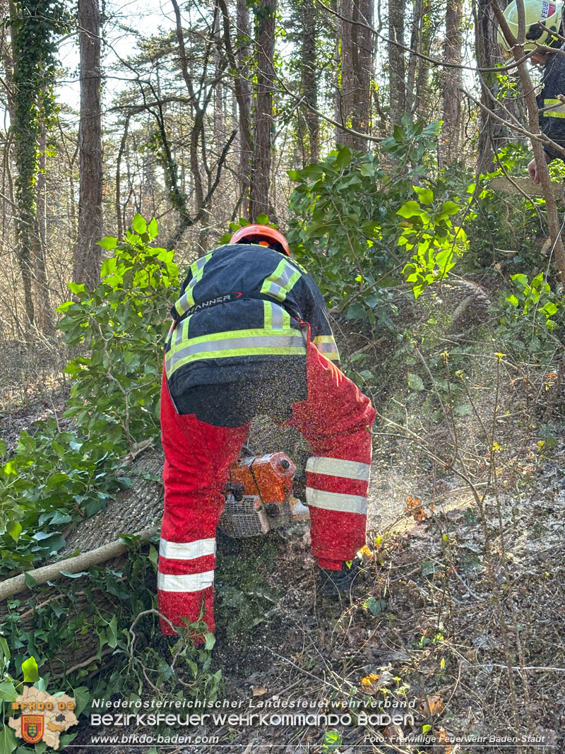 20270127 Sturmfront ueber die Stadt Baden  Foto: Freiwillige Feuerwehr Baden-Stadt