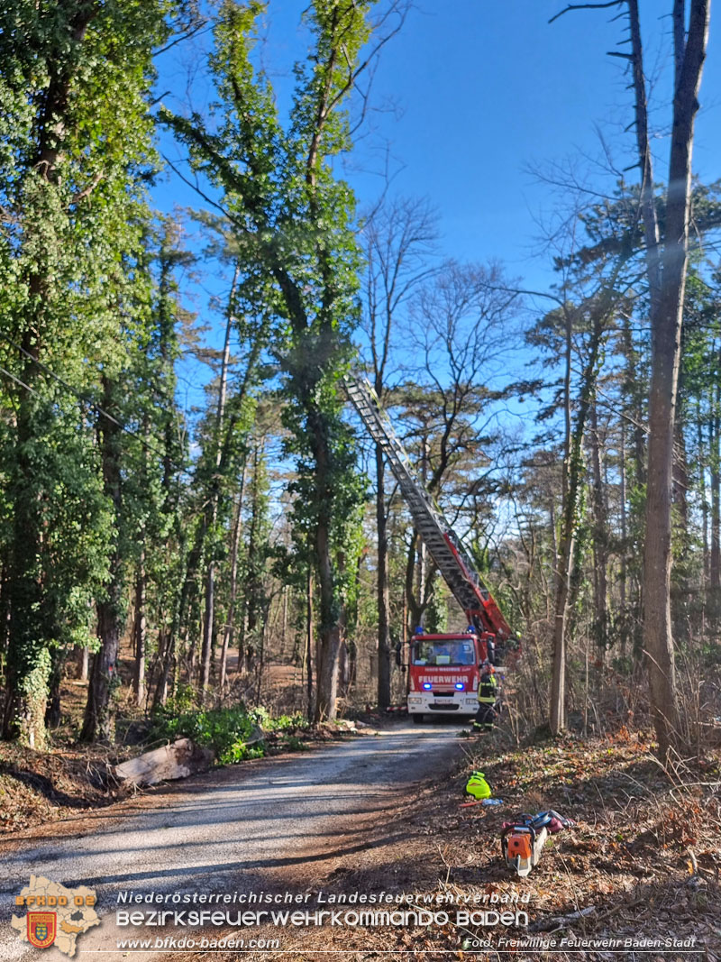20270127 Sturmfront ueber die Stadt Baden  Foto: Freiwillige Feuerwehr Baden-Stadt