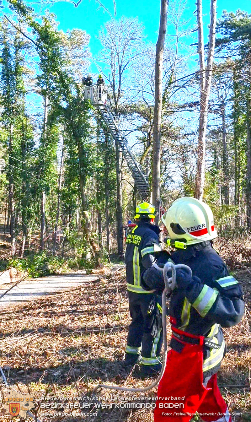20270127 Sturmfront ueber die Stadt Baden  Foto: Freiwillige Feuerwehr Baden-Stadt
