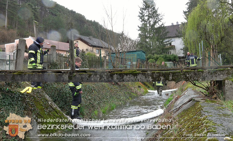 20240312 Gewässerverunreinigung in Berndorf-Veitsau Foto: Stefan Schneider BFKDO BADEN 20240312 Gewässerverunreinigung in Berndorf-Veitsau Foto: Stefan Schneider BFKDO BADEN