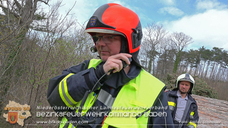 20240318 Brand auf einem Lagerplatz in Gutental Foto: Stefan Schneider BFKDO BADEN