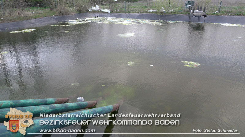 20240328 Brand bei einem Abfallwirtschaftsbetrieb Foto: Stefan Schneider BFKDO BADEN 20240328 Brand bei einem Abfallwirtschaftsbetrieb Foto: Stefan Schneider BFKDO BADEN