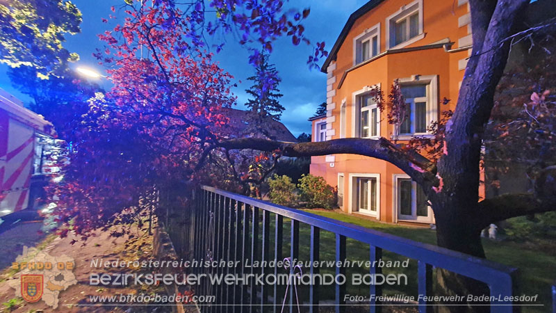 20240410 Nächtlicher Sturm sorgt für Feuerwehreinsätze Foto: Freiwillige Feuerwehr Baden-Leesdorf 20240410 Nächtlicher Sturm sorgt für Feuerwehreinsätze Foto: Freiwillige Feuerwehr Baden-Leesdorf
