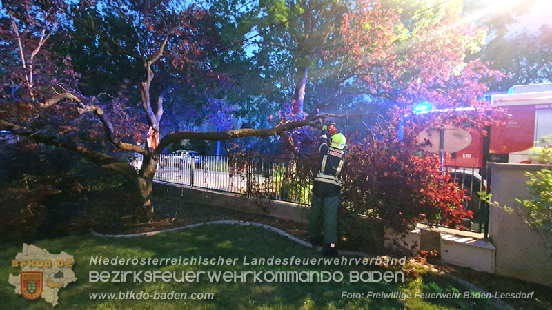 20240410 Nächtlicher Sturm sorgt für Feuerwehreinsätze  Foto: Freiwillige Feuerwehr Baden-Leesdorf