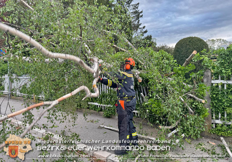 20240410 Nächtlicher Sturm sorgt für Feuerwehreinsätze Foto: Freiwillige Feuerwehr Baden Weikersdorf 20240410 Nächtlicher Sturm sorgt für Feuerwehreinsätze Foto: Freiwillige Feuerwehr Baden Weikersdorf