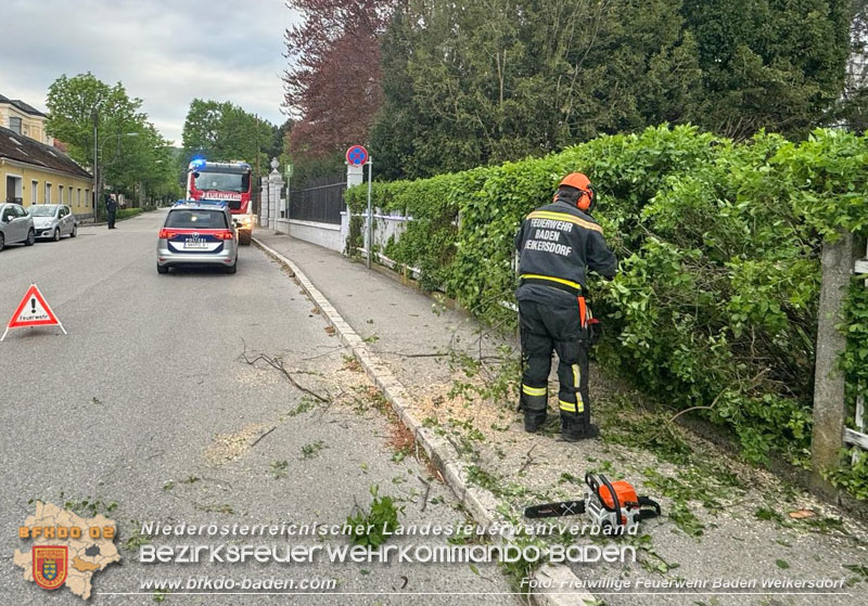 20240410 Nächtlicher Sturm sorgt für Feuerwehreinsätze  Foto: Freiwillige Feuerwehr Baden Weikersdorf