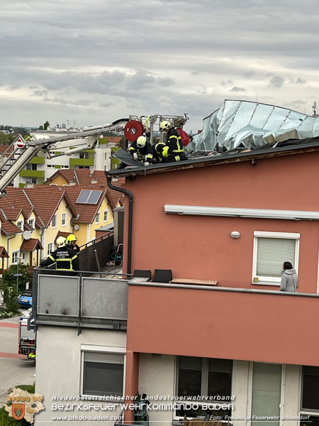 20240410 Nächtlicher Sturm sorgt für Feuerwehreinsätze Foto: Freiwillige Feuerwehr Möllersdorf 20240410 Nächtlicher Sturm sorgt für Feuerwehreinsätze Foto: Freiwillige Feuerwehr Möllersdorf