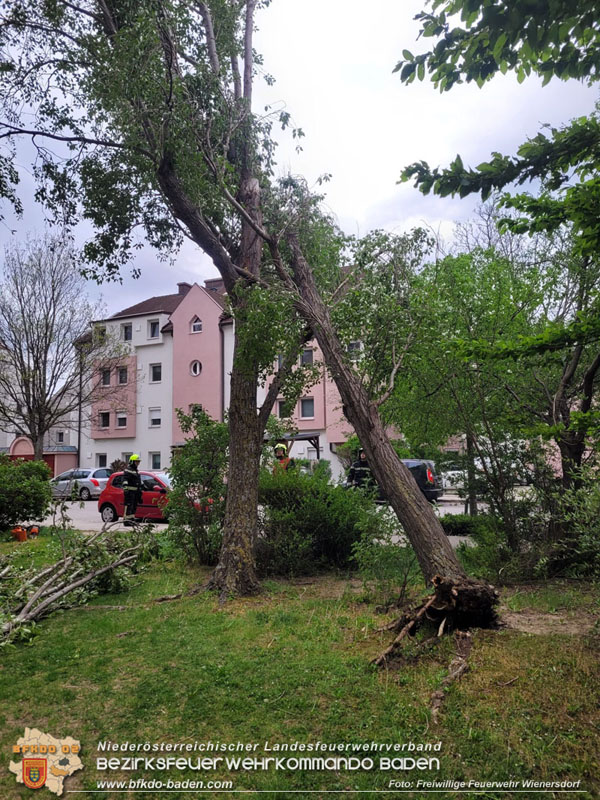 20240410 Nächtlicher Sturm sorgt für Feuerwehreinsätze Foto: Freiwillige Feuerwehr Wienersdorf 20240410 Nächtlicher Sturm sorgt für Feuerwehreinsätze Foto: Freiwillige Feuerwehr Wienersdorf