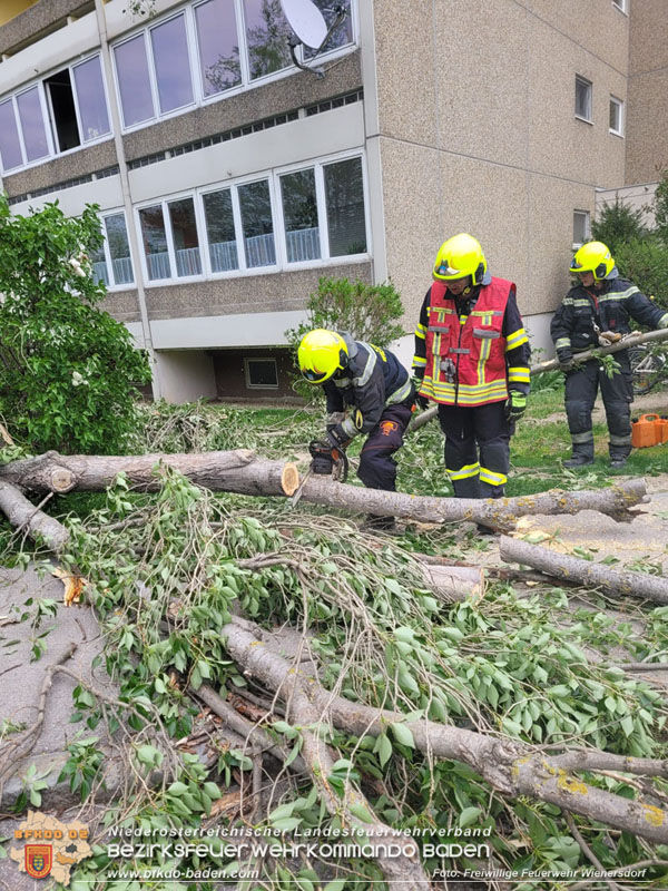 20240410 Nächtlicher Sturm sorgt für Feuerwehreinsätze Foto: Freiwillige Feuerwehr Wienersdorf 20240410 Nächtlicher Sturm sorgt für Feuerwehreinsätze Foto: Freiwillige Feuerwehr Wienersdorf