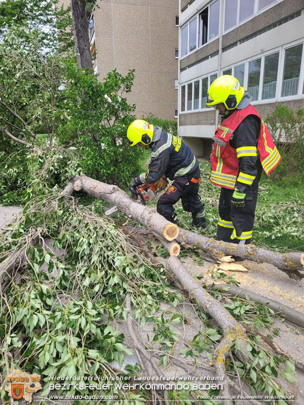 20240410 Nächtlicher Sturm sorgt für Feuerwehreinsätze Foto: Freiwillige Feuerwehr Wienersdorf 20240410 Nächtlicher Sturm sorgt für Feuerwehreinsätze Foto: Freiwillige Feuerwehr Wienersdorf