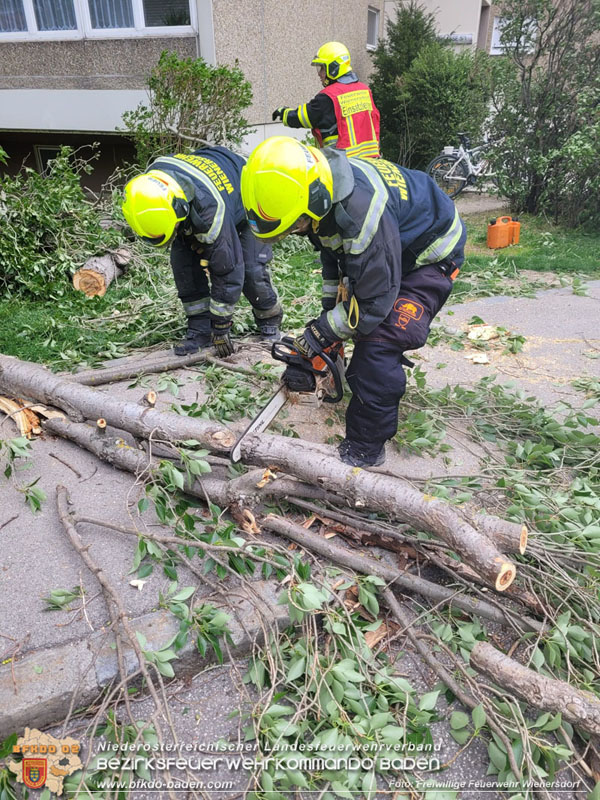 20240410 Nächtlicher Sturm sorgt für Feuerwehreinsätze Foto: Freiwillige Feuerwehr Wienersdorf 20240410 Nächtlicher Sturm sorgt für Feuerwehreinsätze Foto: Freiwillige Feuerwehr Wienersdorf